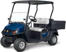 Golf carts for Rental in Chandler, AZ